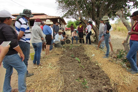 Prefeitura promove I curso de agricultura